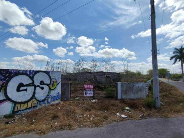 TERRENO EN VENTA MOTUL TELCHAC