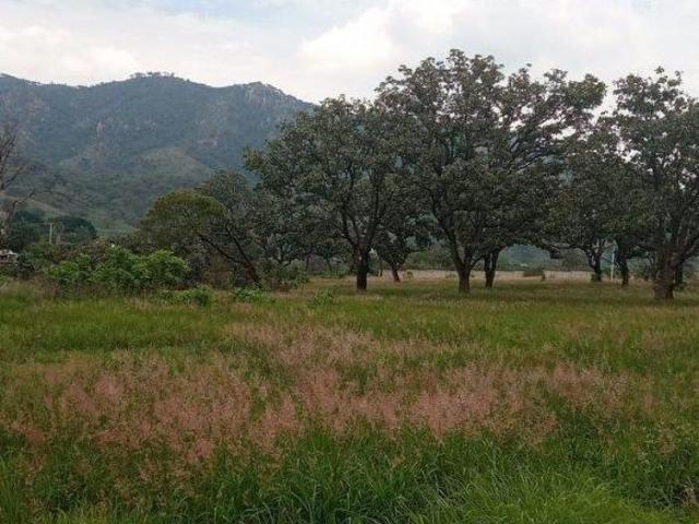Terreno en venta, núm. 19 en Fraccionamiento Tres ríos residencial privado