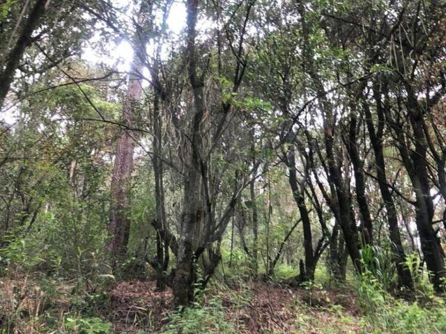 TERRENO EN VENTA, NICOLAS ROMERO