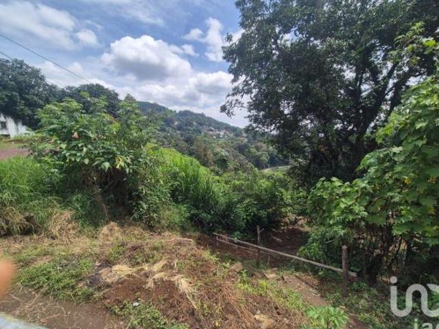 TERRENO EN VENTA, OTILPAN,MPIO. TLANEHUAYOCAN,VER.