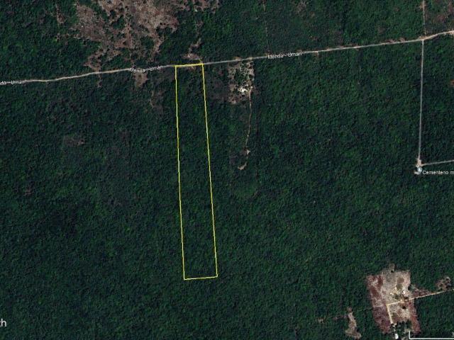 TERRENO EN VENTA OXCUM YUCATAN