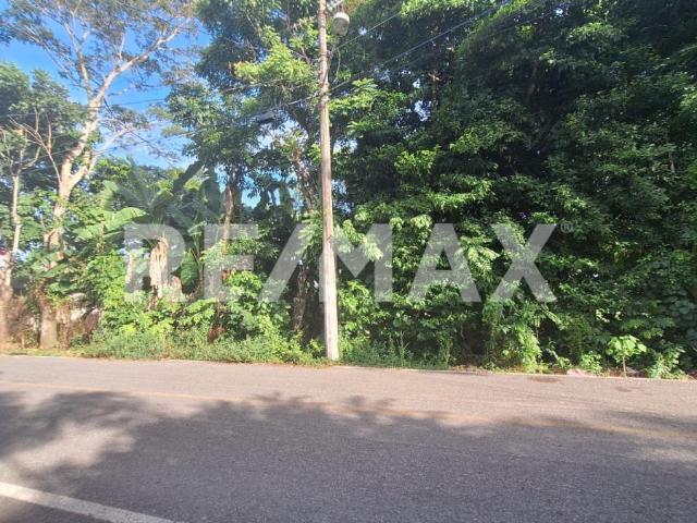 TERRENO EN VENTA O RENTA EN ANACLETO CANABAL 3RA SECCIÓN