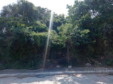 Terreno en Venta o Renta en Ejido Sur Playa del Carmen C3898