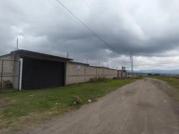 ¡Terreno en renta en Huamantla, Tlaxcala!