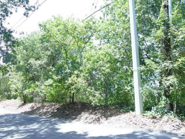 Terreno en Venta Olinala