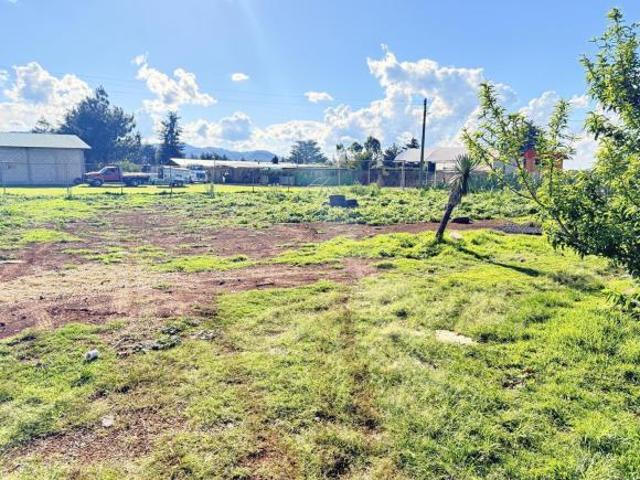 TERRENO EN VENTA OMITLAN