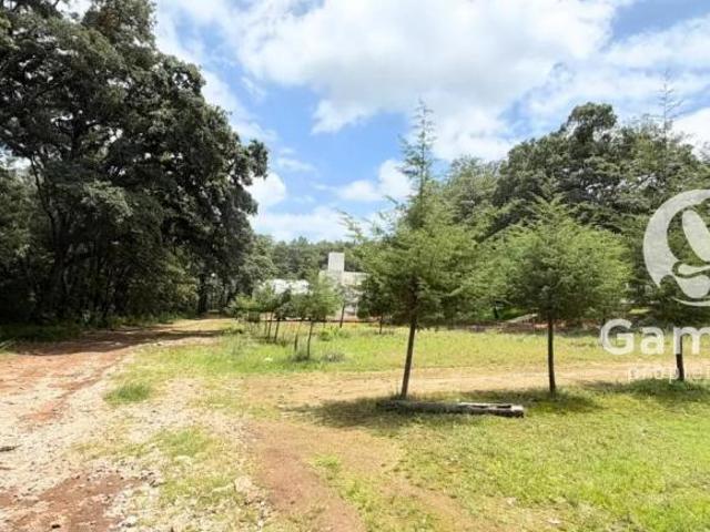 TERRENO EN VENTA | Omitlán de Juárez, Hidalgo. A sólo 7 minutos del centro de Huasca de Ocampo
