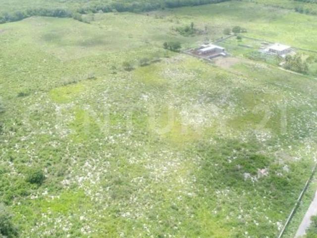 TERRENO EN VENTA. Oportunidad excepcional en zona con auge turístico: Valladolid
