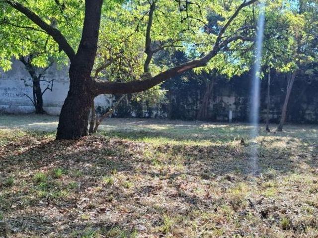 Terreno en Venta / Oportunidad para Desarrolladores Jardines del Pedregal