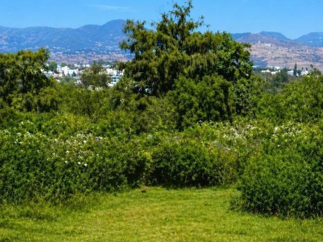 Terreno en Venta, Atlatlahuacan Morelos