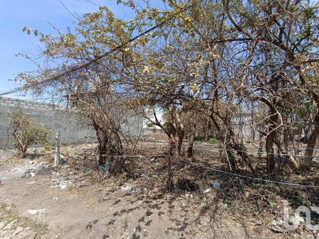 Terreno en Venta, atrás de CIVAC, Santa Catarina, Tepoztlán