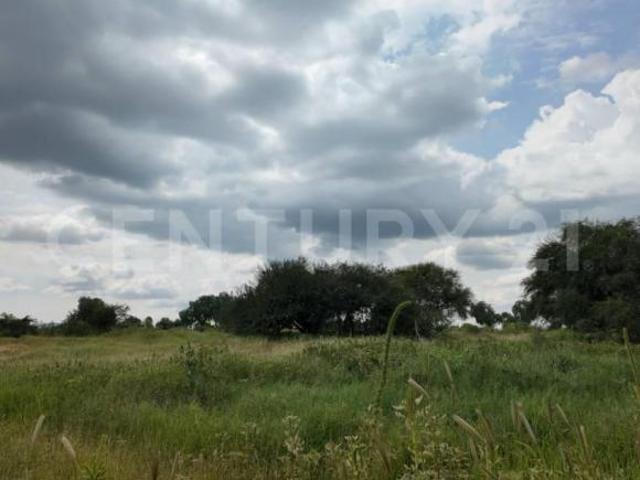 Terreno en Venta Av Aguascalientes Pte Isla de Gpe Dentro de la Isla San Marcos
