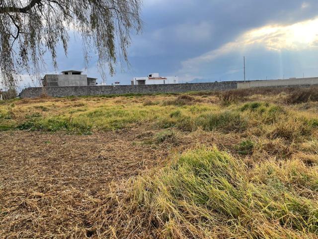 Terreno en Venta a 1,700 x M2