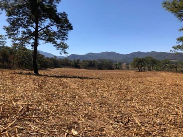 Terreno en Venta a 5 minutos de Crucero Talpa de Allende y Mascota, Jalisco