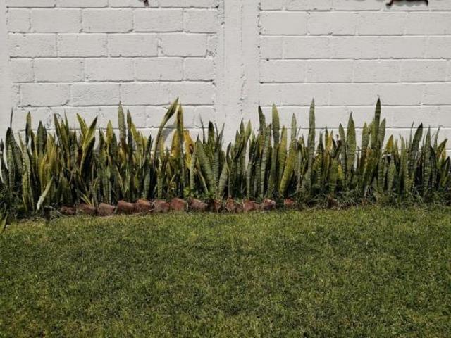 TERRENO EN VENTA, A 5 MIN. DE CUAUTLA MORELOS