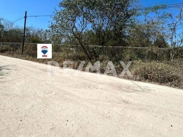 Terreno en venta a 95 metros de calle principal de Dzitya, Mérida Yucatán. 4
