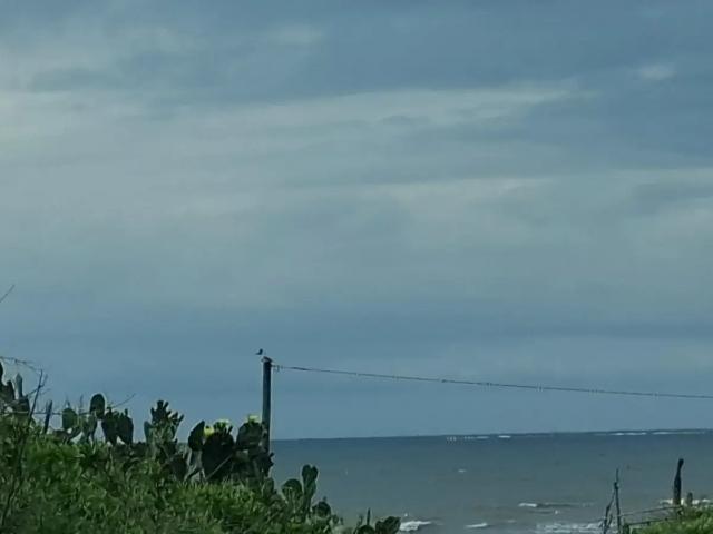 Terreno en venta a una cuadra del mar en Anton Lizardo, Veracruz