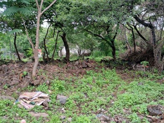 Terreno en venta a unas cuadras del Fraccionamiento Burgos en Temixco