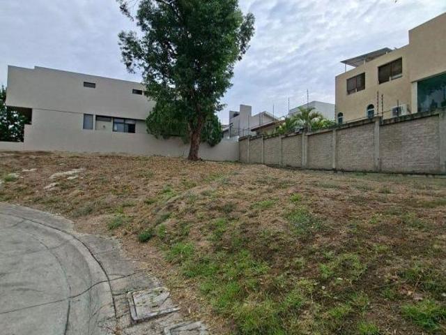 TERRENO EN VENTA ABADÍA RESIDENCIAL JUAN PALOMAR Y ARIAS