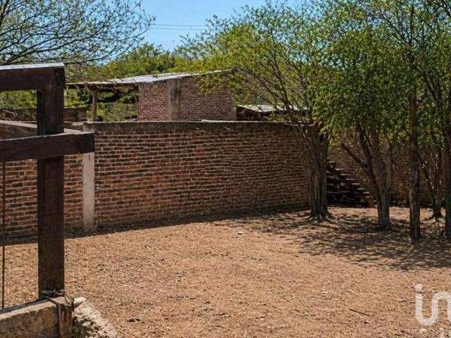 TERRENO EN VENTA ABASOLO GUANAJUATO