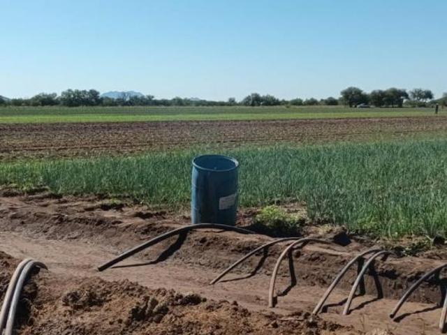 Terreno en venta agricola en Hermosillo
