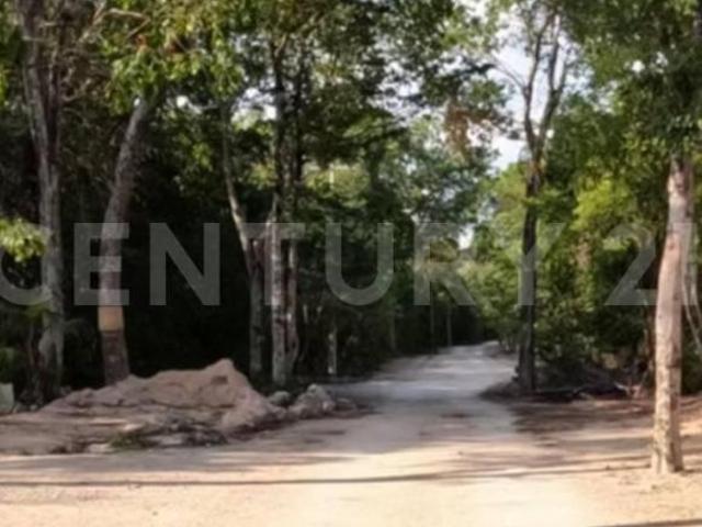 Terreno en Venta | Aldea Coral, Chemuyil
