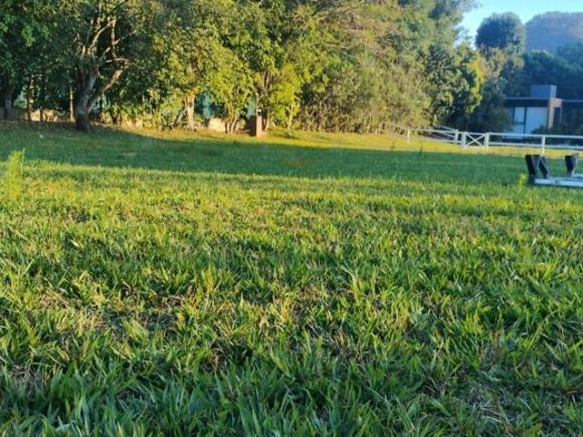 Terreno en venta alle de Atongo Tepoztlán Morelos $11,000.000.00