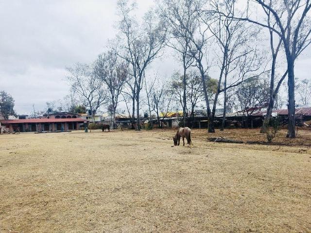 Terreno en venta Alta Densidad 20 mil m2 Granjas Lomas de Guadalupe Cuautitl?n