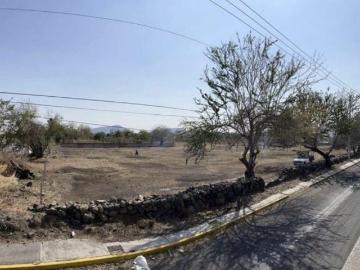 Terreno en venta Amayuca Jantetelco Morelos