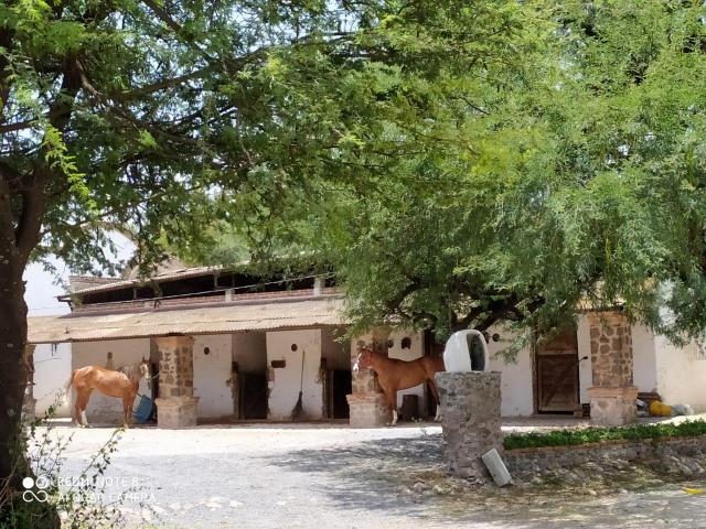 Terreno en VENTA Apaseo Gto