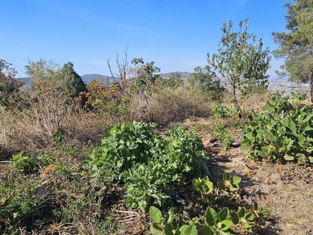 Terreno en Venta, Bugambilias, Zapopan