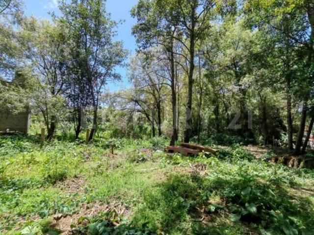 TERRENO EN VENTA, BARRIO DE MEXICANOS, SAN CRISTOBAL DE LAS CASAS