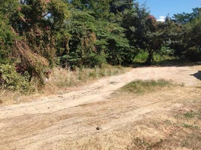 TERRENO EN VENTA BARRIO EL CALVARIO, ARRIAGA CHIAPAS