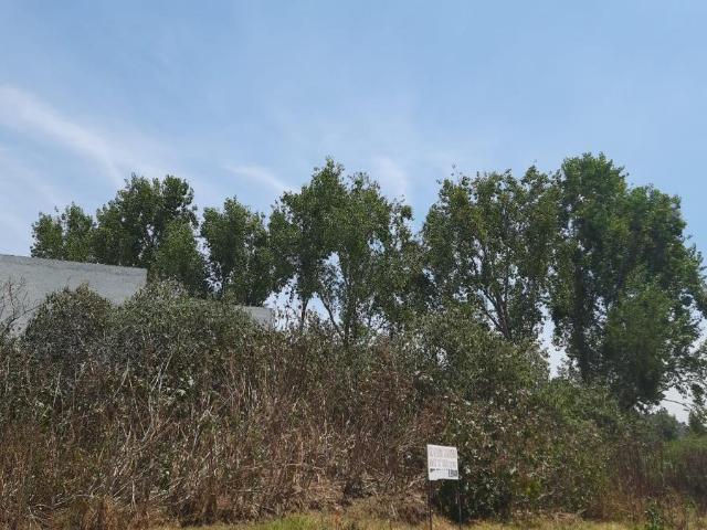 Terreno en Venta, Bosque Real Plano con Vista al Campo de Golf