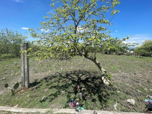 TERRENO EN VENTA CUACHIXOLOTERA ATLATLAHUACAN, MORELOS