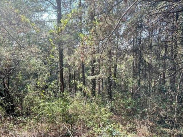 Terreno en venta Cuajimalpa Uso de suelo para 2 casas