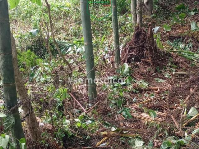 Terreno en Venta Cuetzalan del Progreso