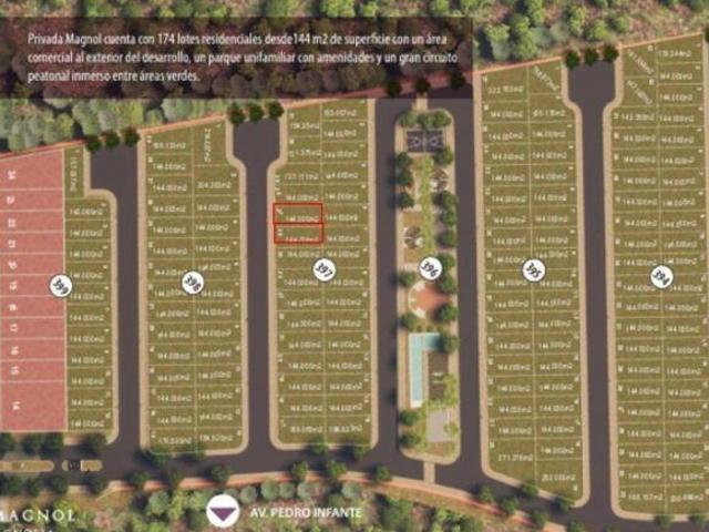 Terreno en venta Cumbres Magnolia entre Av. Pedro Infante y Av. Lince
