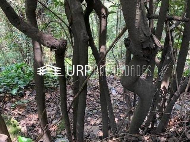 TERRENO EN VENTA, CALLE CERRADA, PASEO DE LAS LOMAS