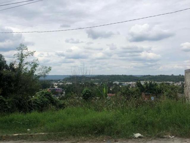 TERRENO EN VENTA CALLE CLAVEL COL. JARDINES DE COATZINTLA, COATZINTLA, VERACRUZ