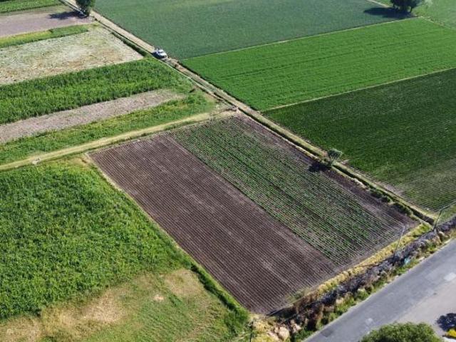Terreno en Venta Camino a Nexatengo en Frente del Carmen, Atlixco, Puebla