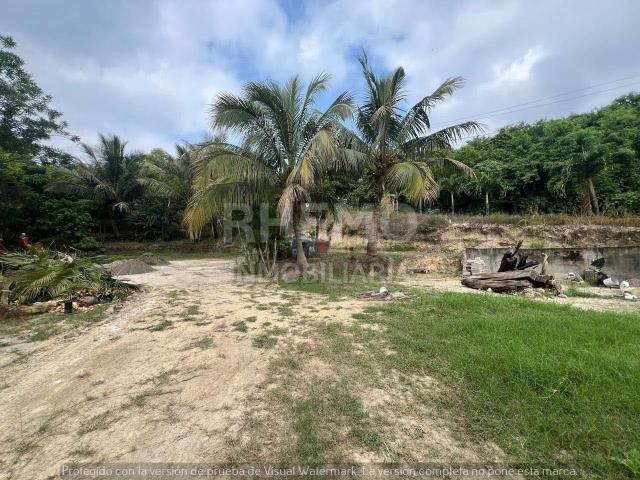 Terreno en Venta Camino a Juana Moza, El Romance, Tuxpan, Ver