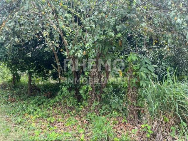 Terreno en Venta camino a Juana Moza, Tuxpan, Ver