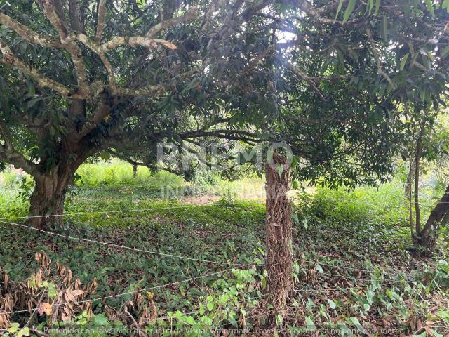 Terreno en Venta camino a Juana Moza, Tuxpan, Ver