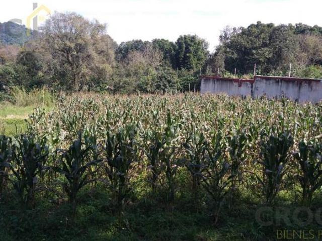 Terreno en venta camino a Xolostla