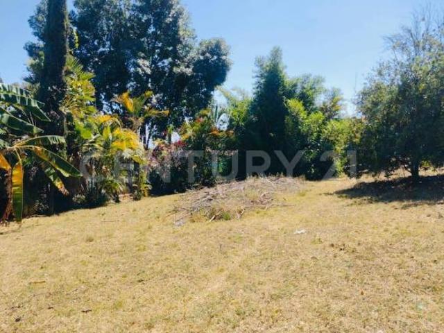 TERRENO EN VENTA, CAMINO DE ALARCÓN, AHUATEPEC, MORELOS