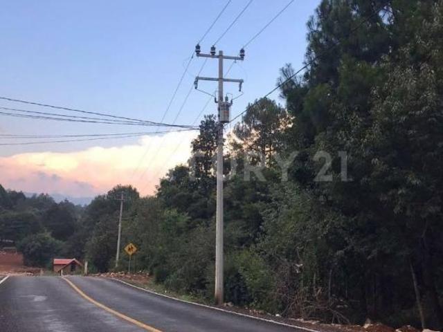 TERRENO EN VENTA, CARR. A RANCHERIA SAN JOSE BUENAVISTA, SAN CRISTOBAL L.C