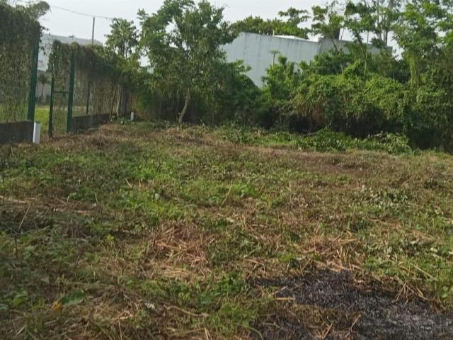 TERRENO EN VENTA CARRETERA VILLAHERMOSA, NACAJUCA, EL CEDRO