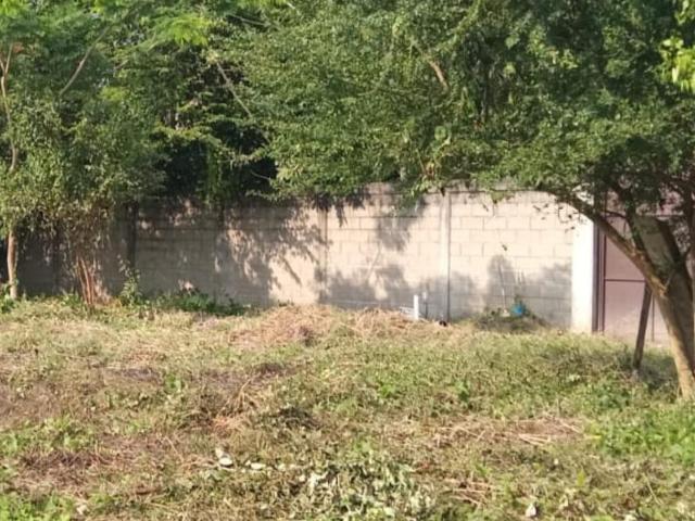 TERRENO EN VENTA CARRETERA VILLAHERMOSA, NACAJUCA, EL CEDRO