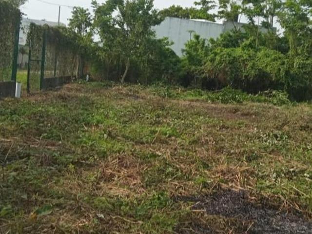 TERRENO EN VENTA CARRETERA VILLAHERMOSA, NACAJUCA, EL CEDRO